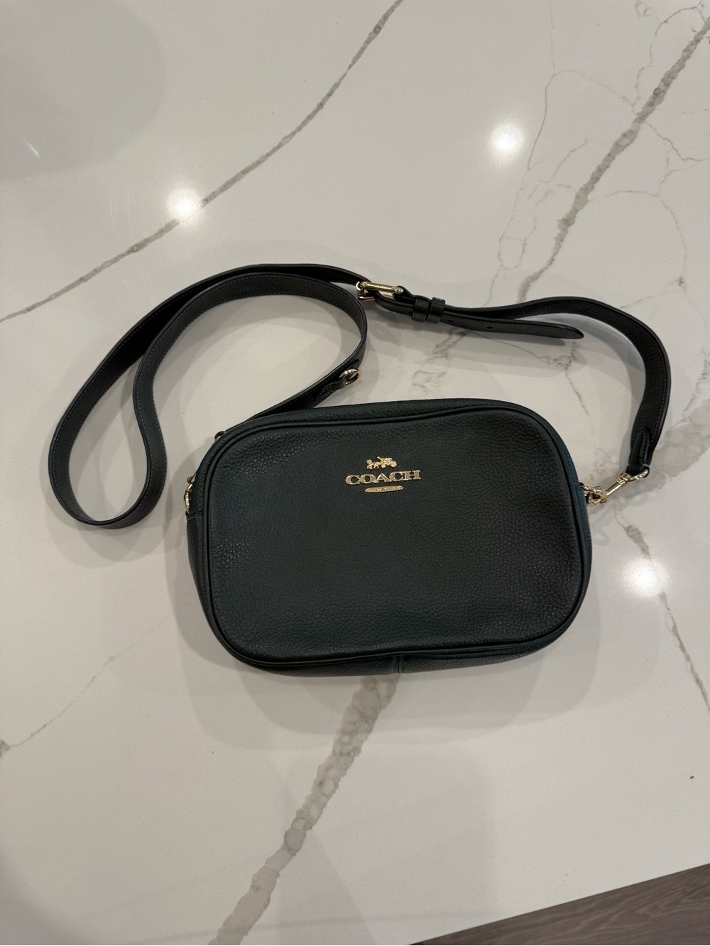 Coach Green Pebbled Leather Crossbody Camera Bag with Gold Hardware